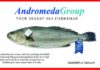 Νηρεύς: Με 89,16% στα δικαιώματα ψήφου η Andromeda Seafood