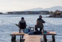 Έρευνα: Έξι στους δέκα Έλληνες εξακολουθούν να μην αποταμιεύουν για τη σύνταξή τους -Η εικόνα στην Ευρώπη